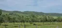 Premier 25-Acre Organic Olive Farm on Route 39